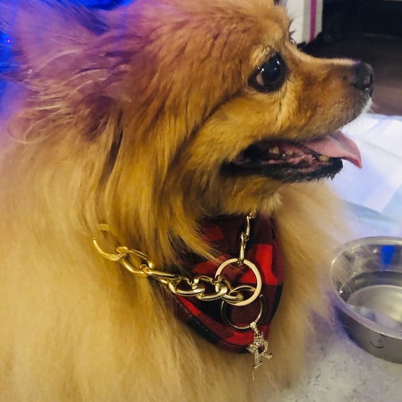 Happy New Year 🎆 2024 - Picture 8 of 14